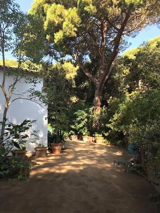 Casa Les Oliveres Villa Lloret de Mar