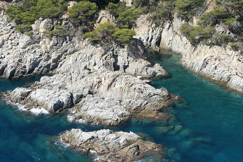 Casa Les Oliveres contacts